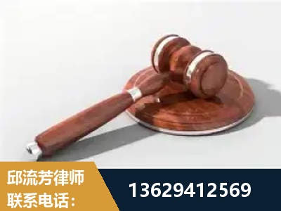 河池-经济犯罪