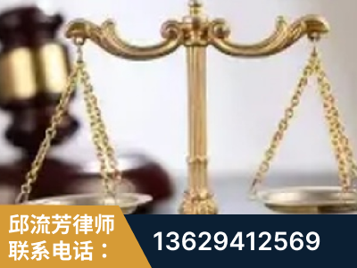 河池-委托诉讼代理人出庭